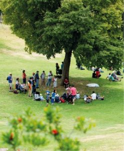 סיור משפחות