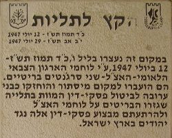 פיוטרד אימג'