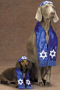 בר מצווה לכלב